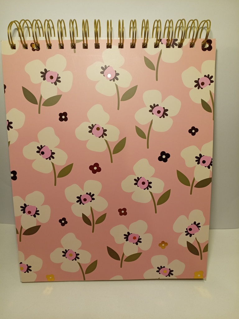 LIBRETA ESPIRAL SHEETS 22.86X27.94