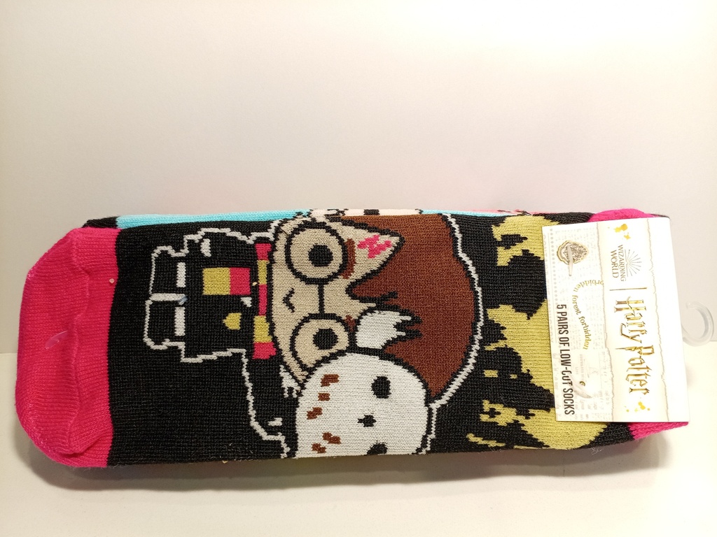 SET DE 5 MEDIAS HARRY POTTER