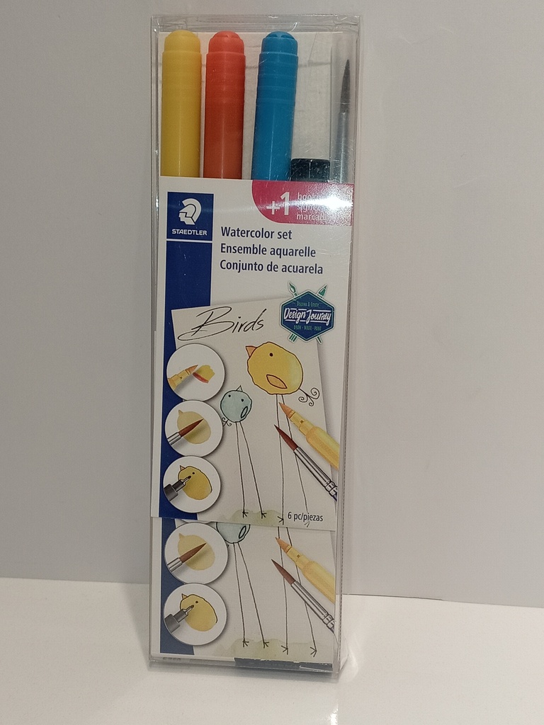 CONJUNTO DE ACUARELA