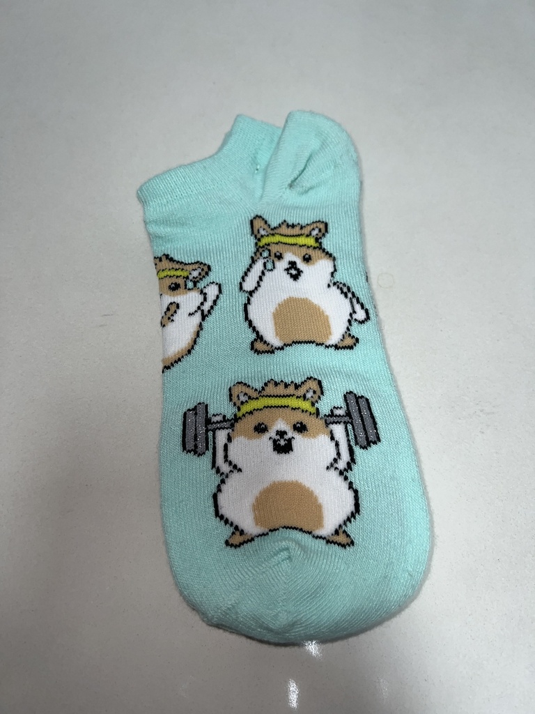 MEDIAS VERDES CON HANSTER 