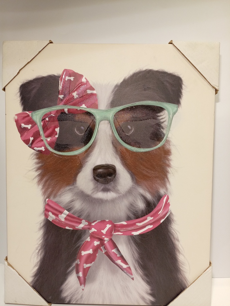 CUADRO DE PERRO LASSIE