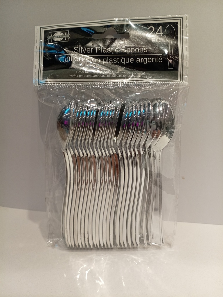 CUCHARITAS PARA POSTRE PLATEADAS 24 UNI.