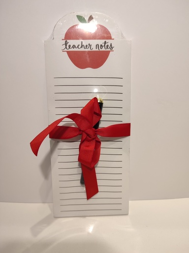 TEACHERS NOTED- VERTICAL CON BOLIGRAFO