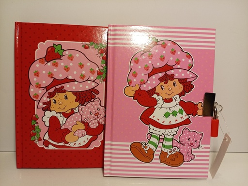 DIARIO CON CANDADO DE FRESITA