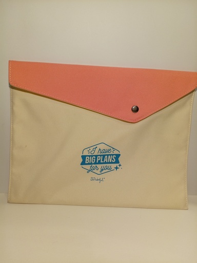 CARPETA MR. WONDERFUL I HAVE A BIG PLANS FOR YOU