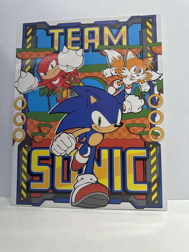 CARPETA TEAM SONIC