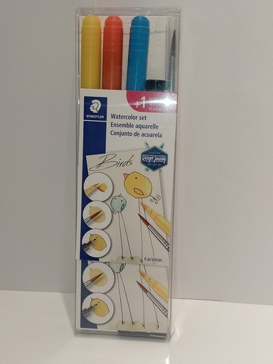 CONJUNTO DE ACUARELA