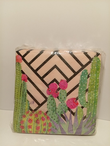 SERVILLETAS CAPTUS 50 UNIDADES PEQ.