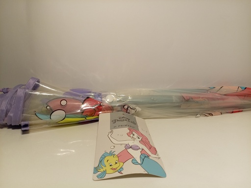 PARAGUA DISNEY PRINCESS