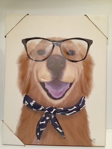 CUADRO DE PERRO GOLDEN