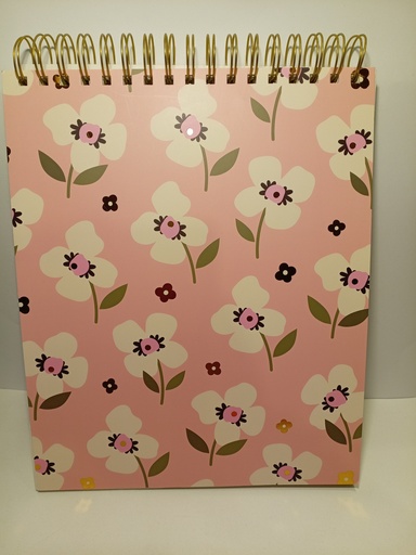LIBRETA ESPIRAL SHEETS 22.86X27.94